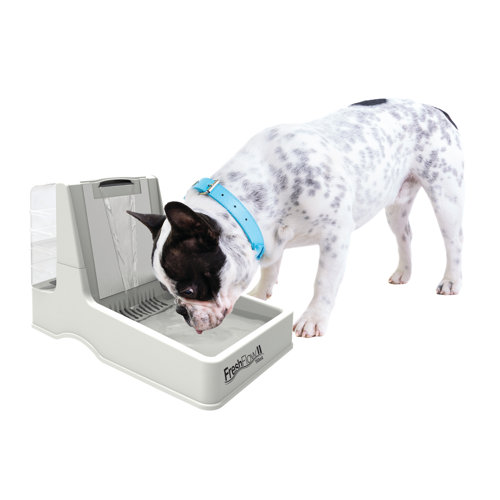 Petmate Fresh Flow II Fountain Elevated Feeder & Reviews Wayfair